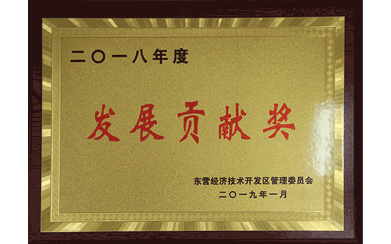 發(fā)展貢獻(xiàn)獎